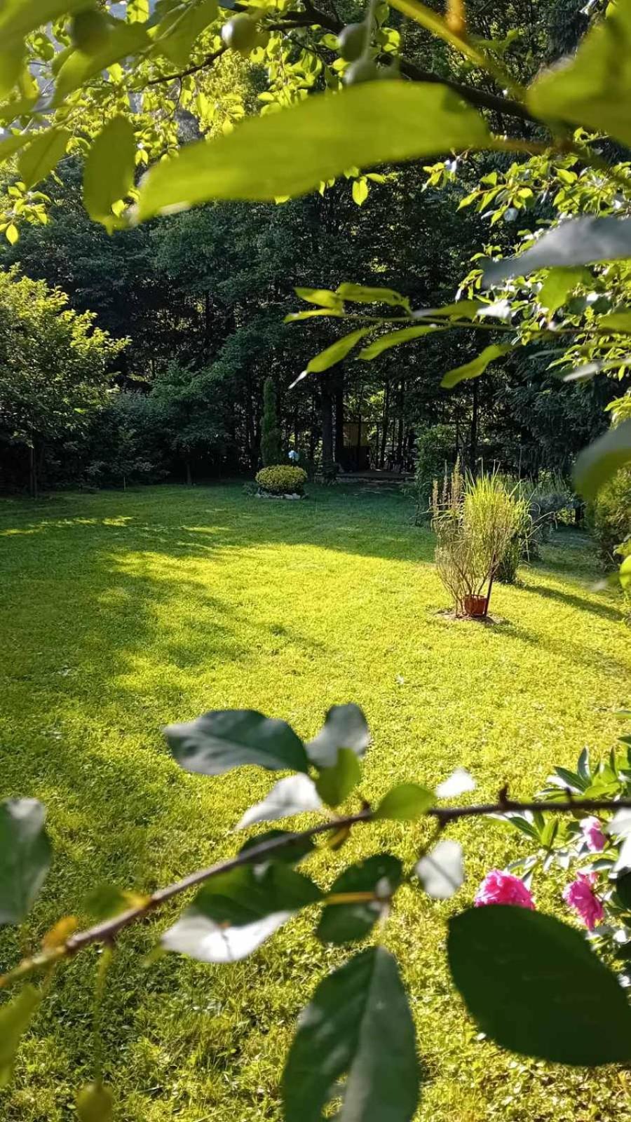 Tammaris Holiday Home Високо Экстерьер фото