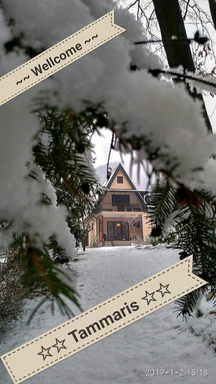 Tammaris Holiday Home Високо Экстерьер фото